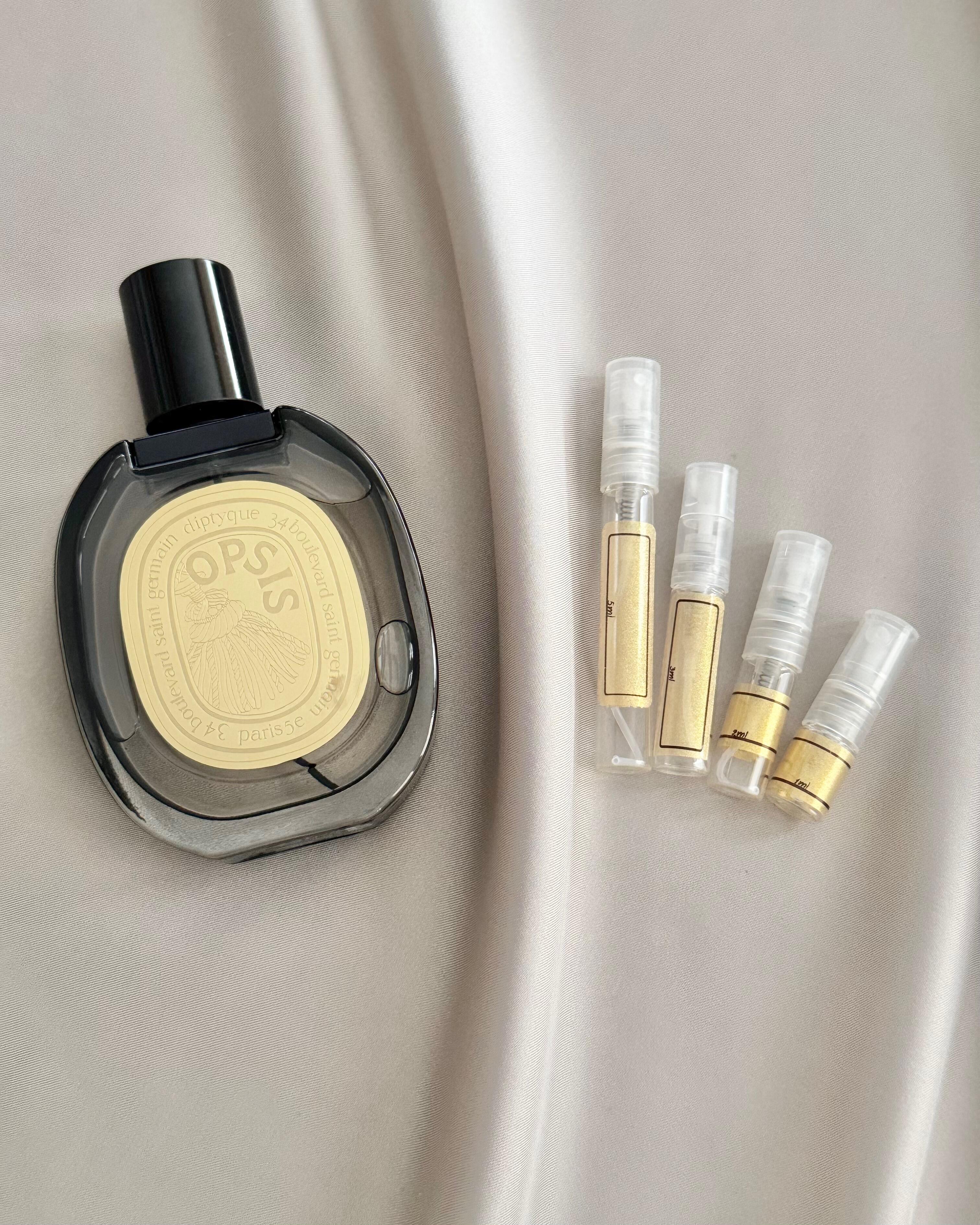 Diptyque Opsis (2022)