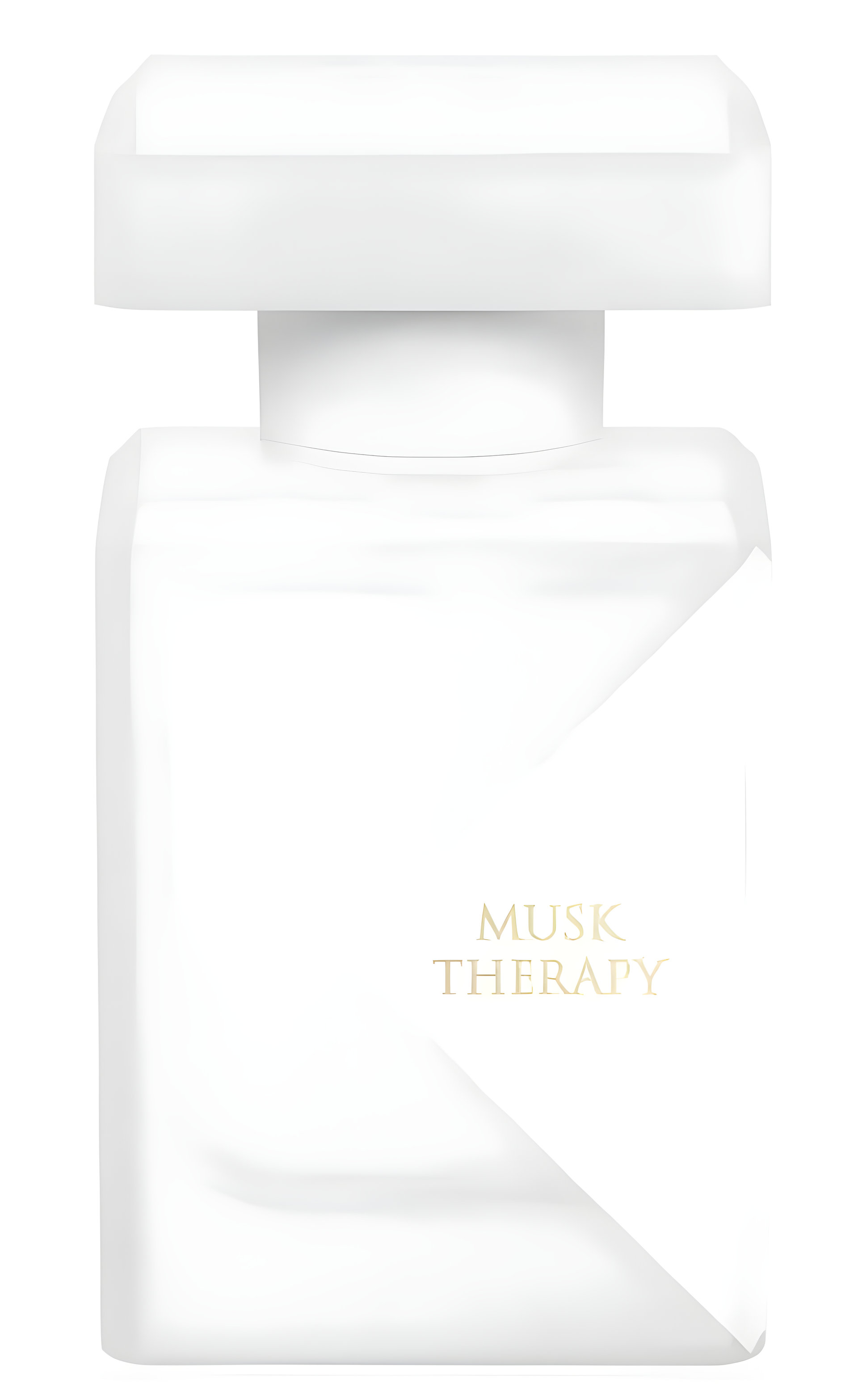 Initio Parfums Privés Musk Therapy Hair Perfume (2021)