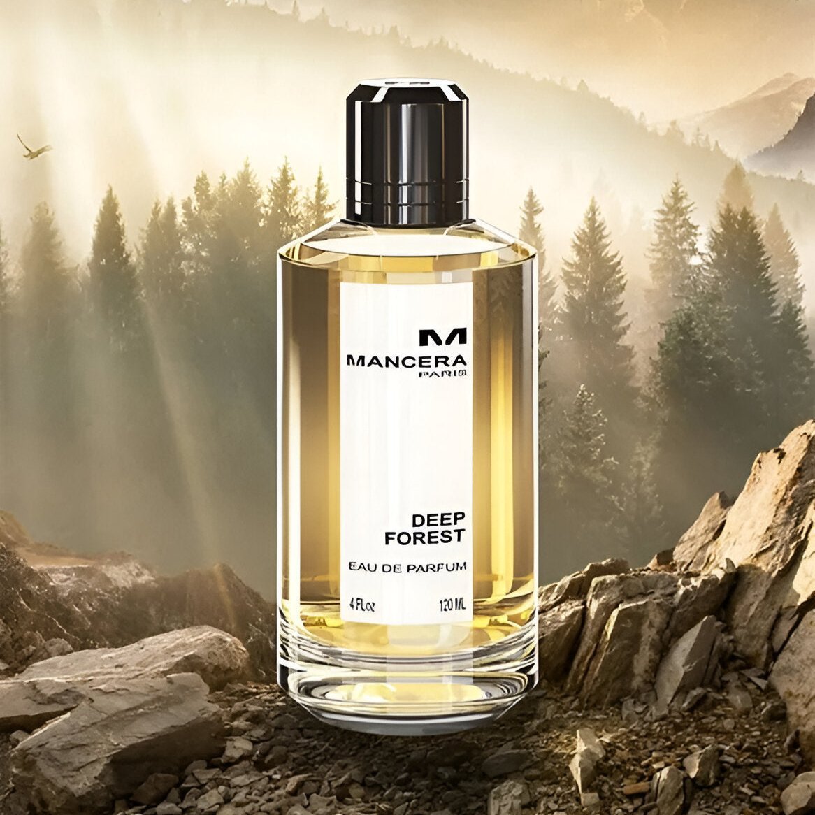 Mancera Deep Forest